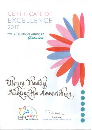 Certificate of Excellence 2017