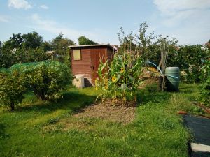 IMG 20160825_104410