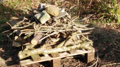 Bug Hotel